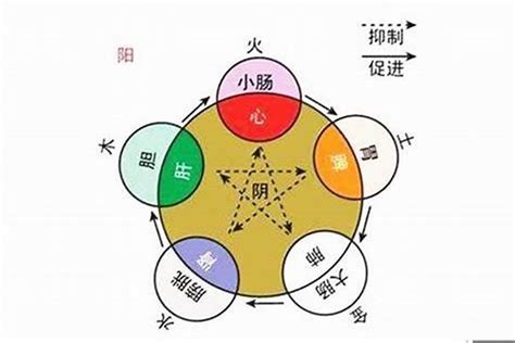 平字五行|平的五行属性是什么